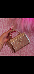 Chanel Vanity Bags