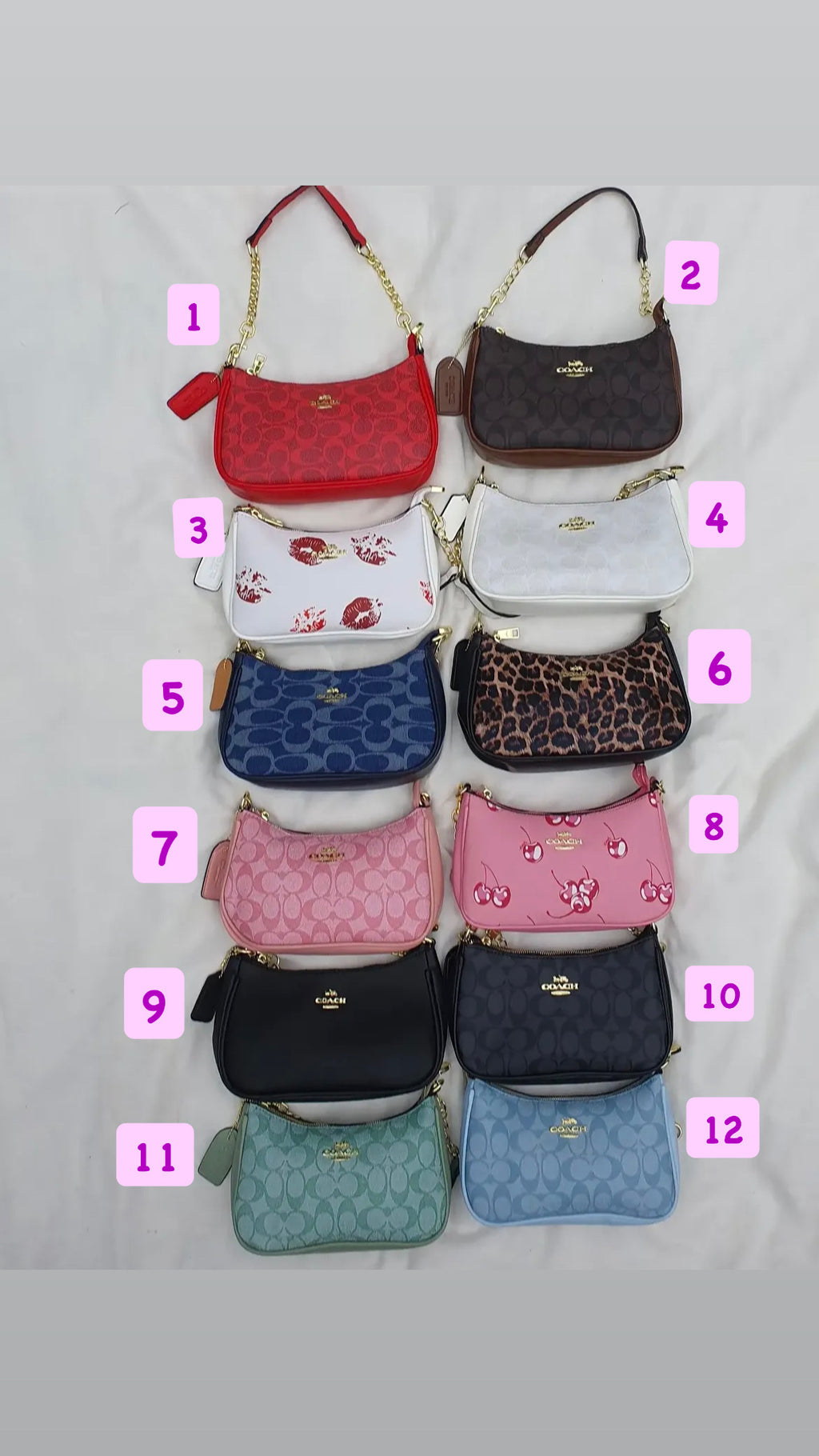 Coach Purses