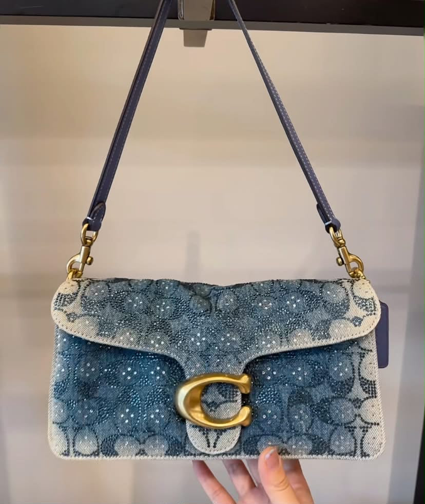 Coach Sparkly Purse