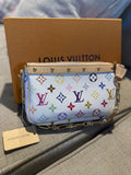 LV multi color purse