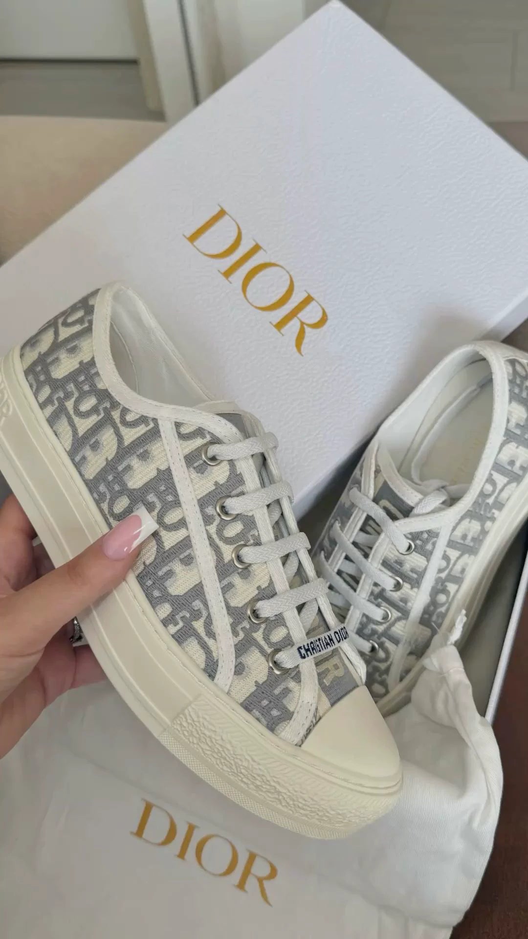 Christian Dior Sneakers grey white