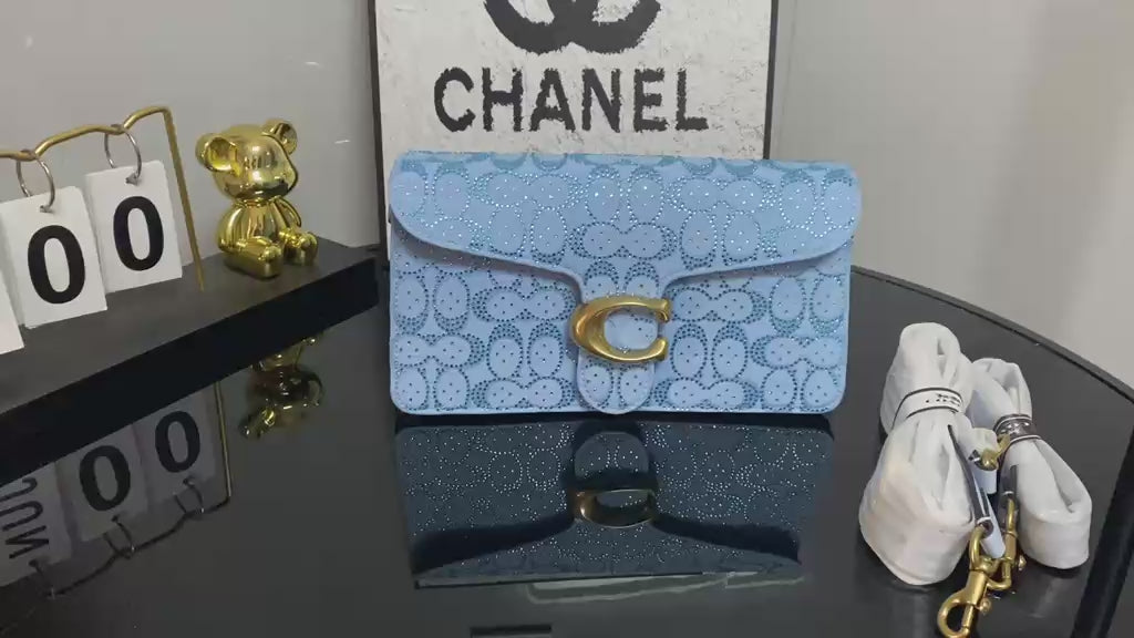 Coach Sparkly Purse